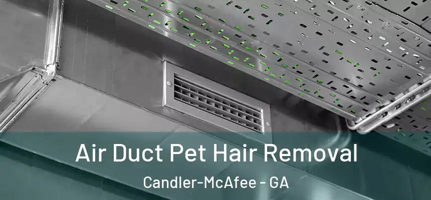  Air Duct Pet Hair Removal Candler-McAfee - GA