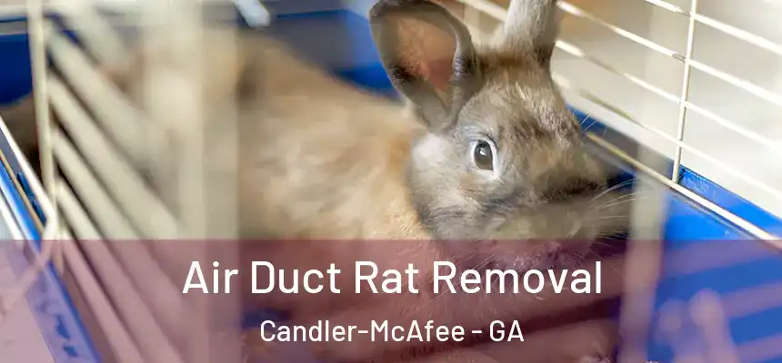  Air Duct Rat Removal Candler-McAfee - GA