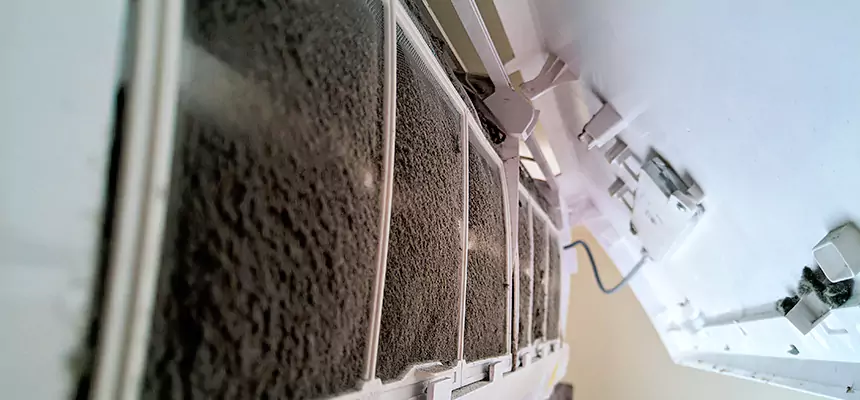 Preventive Air Duct Bacteria Removal in Candler-McAfee