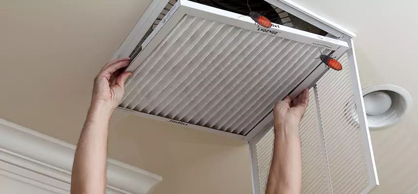 Preventive Cockroach-Proofing for Ducts in Candler-McAfee