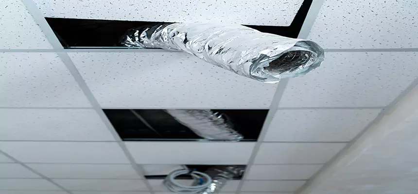 Affordable HVAC Sanitizing After Pest Removal in Candler-McAfee