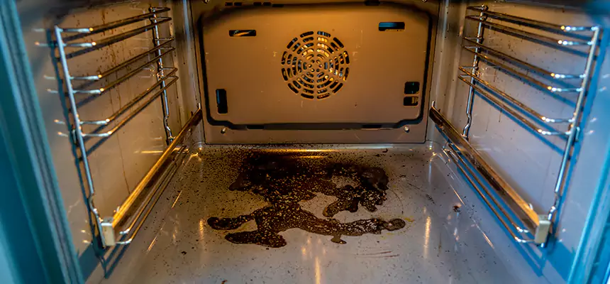 Our Dryer Vent Mold Cleaning Services in Candler-McAfee, GA