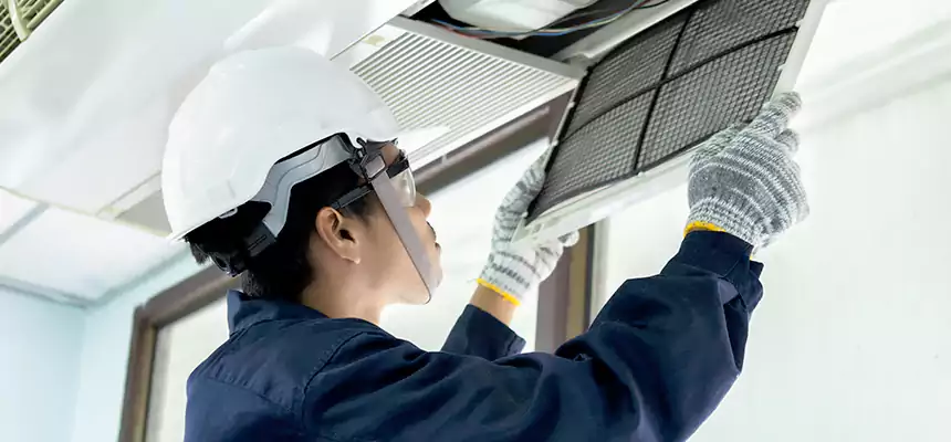 Our Mold & Mildew Removal from Air Ducts Services in Candler-McAfee, GA