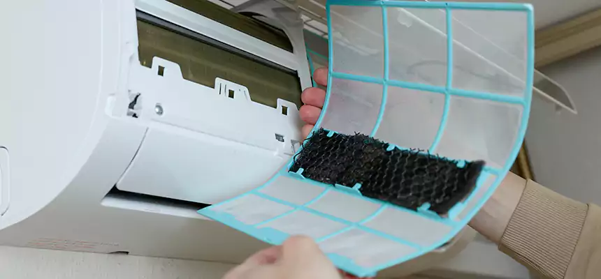 Gentle Ductwork Odor-Control Pet Dander Duct Cleaning in Candler-McAfee, GA