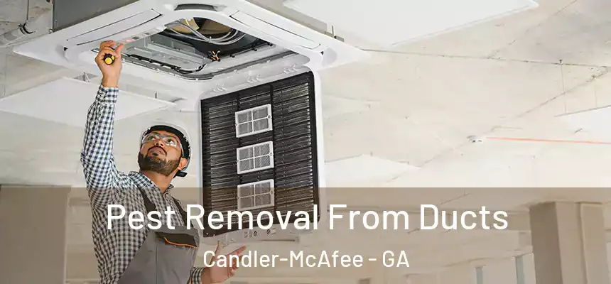  Pest Removal From Ducts Candler-McAfee - GA