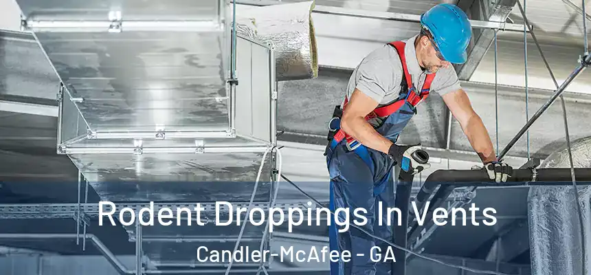  Rodent Droppings In Vents Candler-McAfee - GA