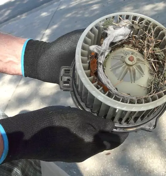 About Air Duct Mice Removal in Candler-McAfee, GA