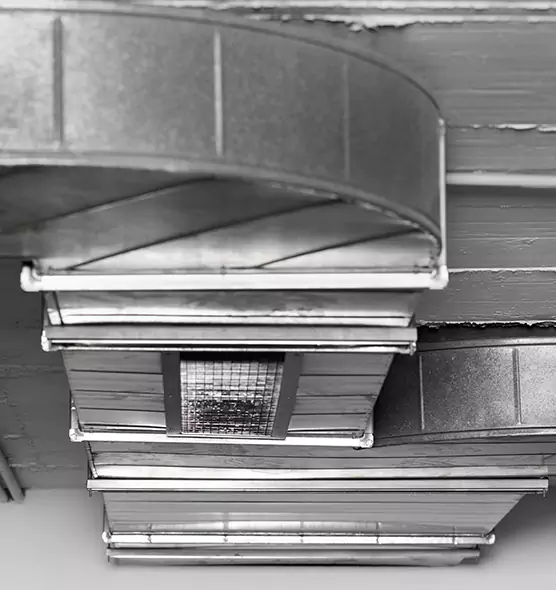 Professional Air Duct Pet Hair Removal in Candler-McAfee, GA