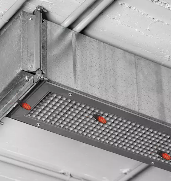 Affordable Insect Removal from Air Ducts in Candler-McAfee, GA