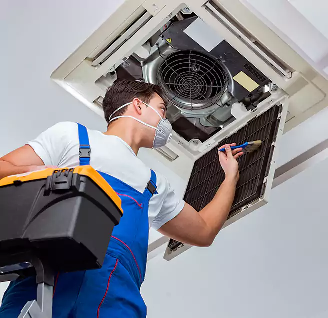 Why Homeowners & Businesses Trust Us in Candler-McAfee, GA